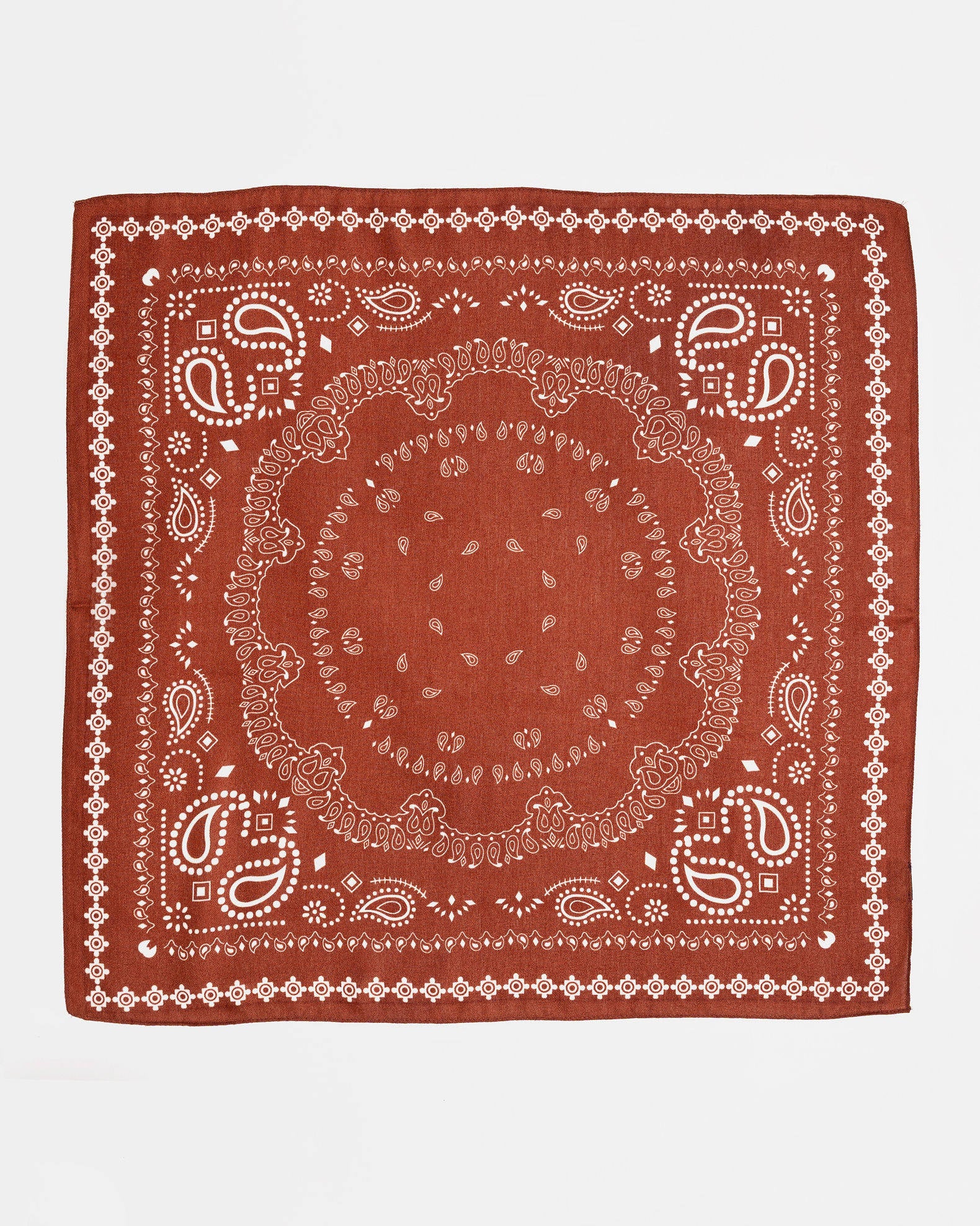 Paisley Scarf