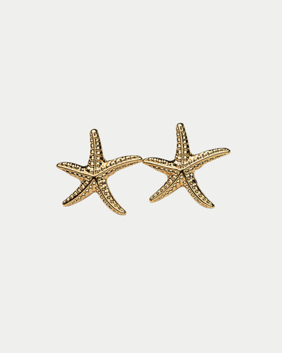 Starfish Studs