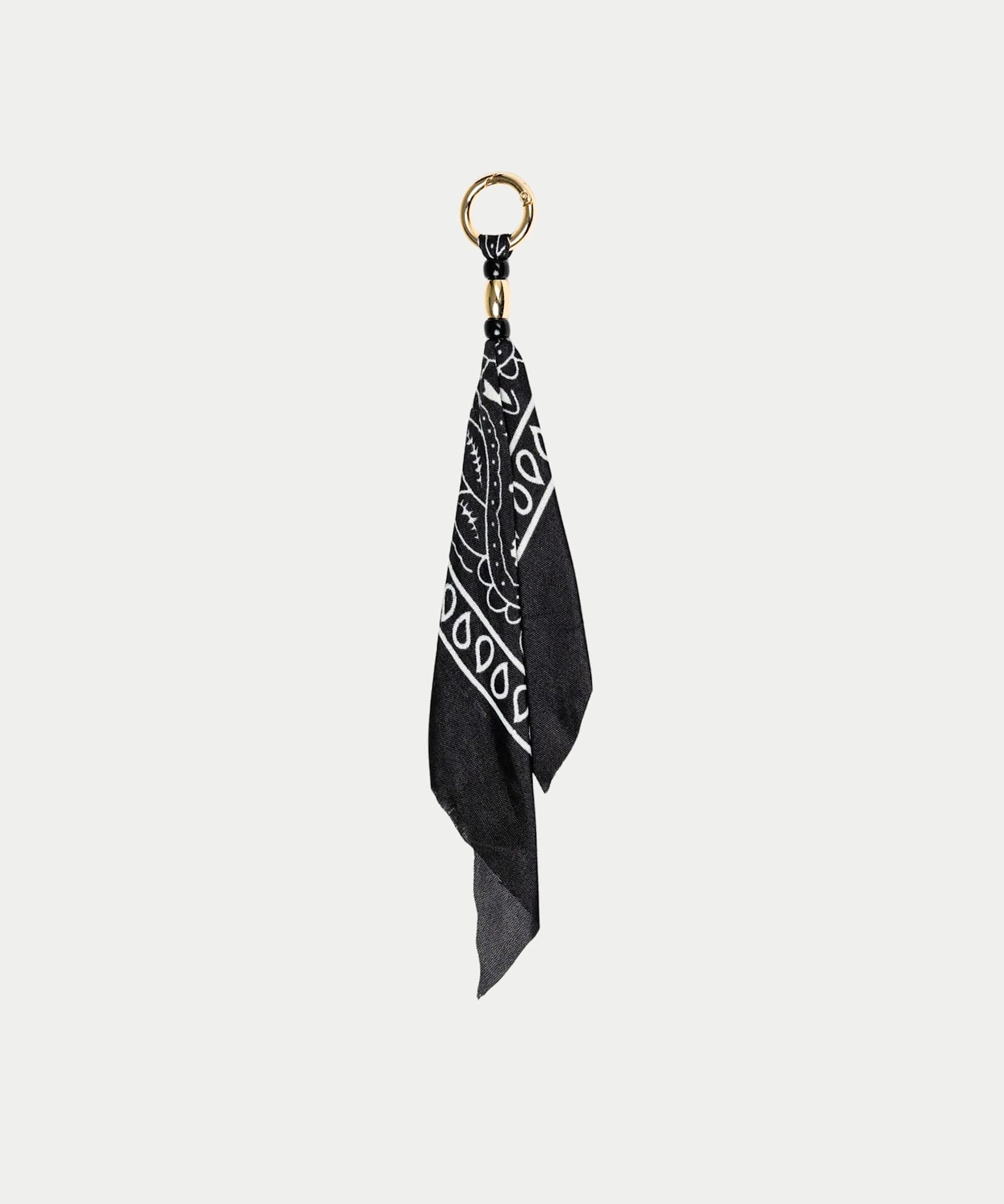 Charm Paisley