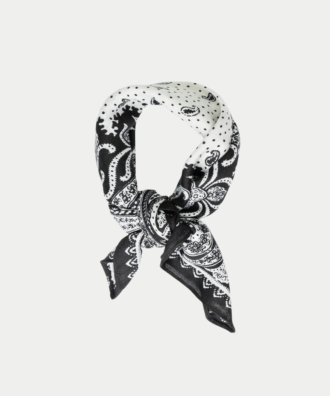 Paisley Scarf