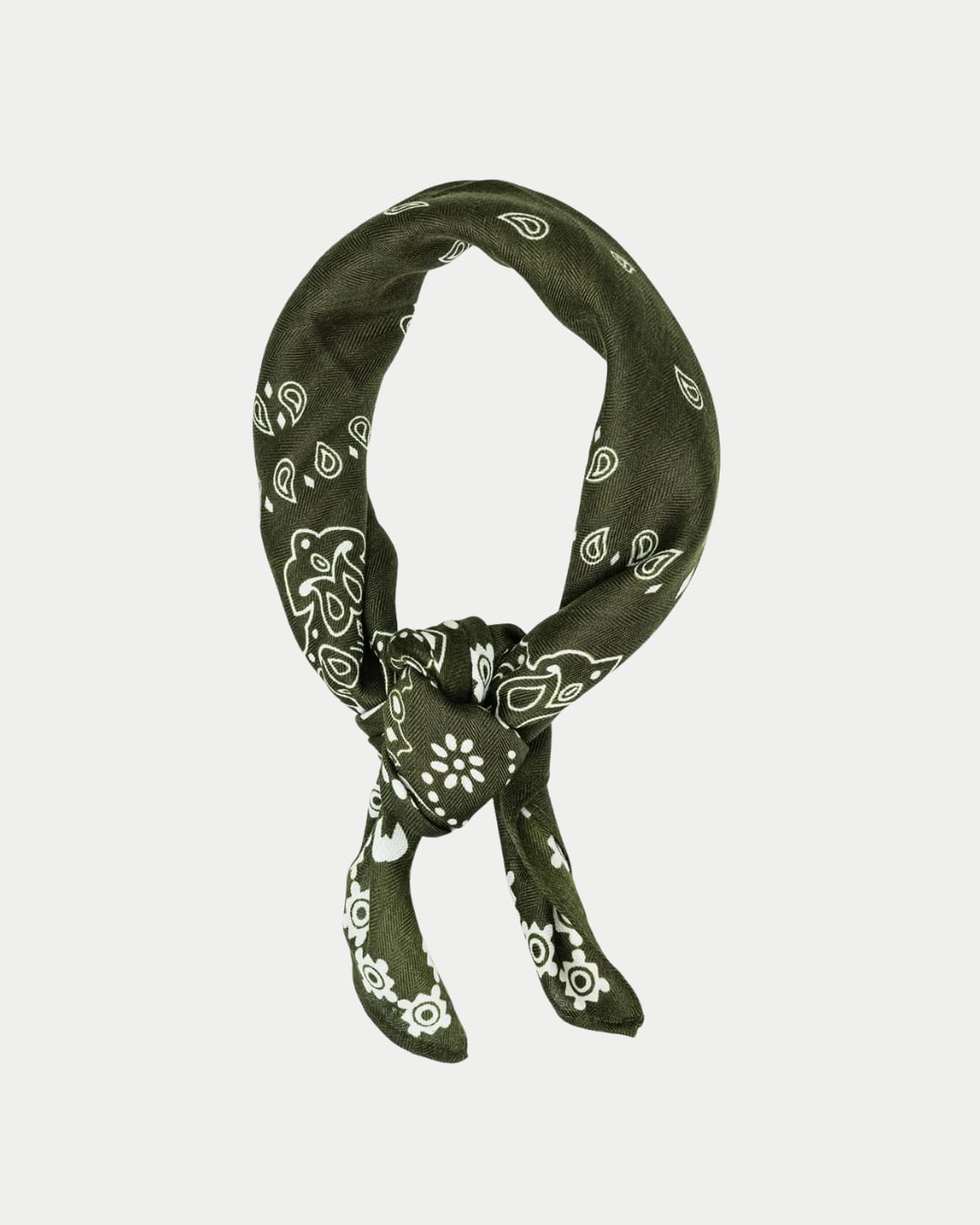 Paisley Scarf