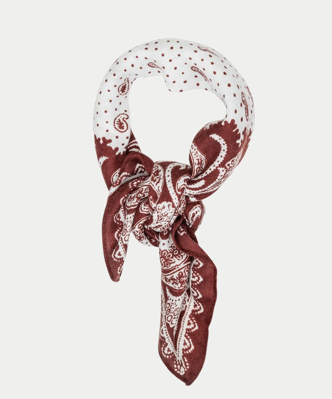 Paisley Scarf