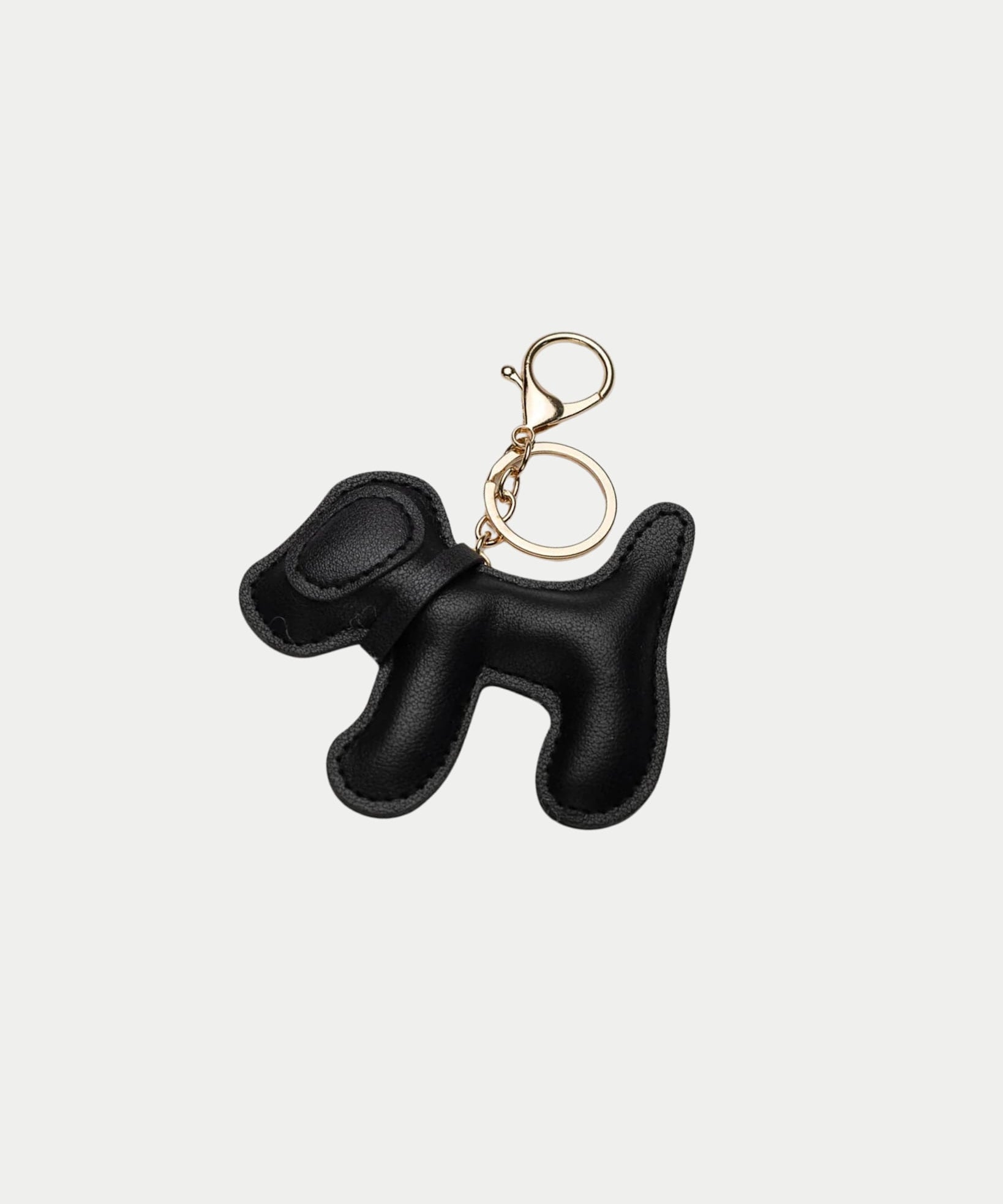 Charm Dog