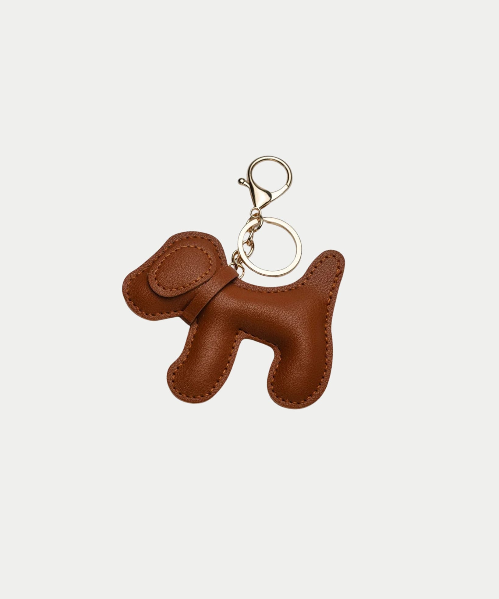 Charm Dog