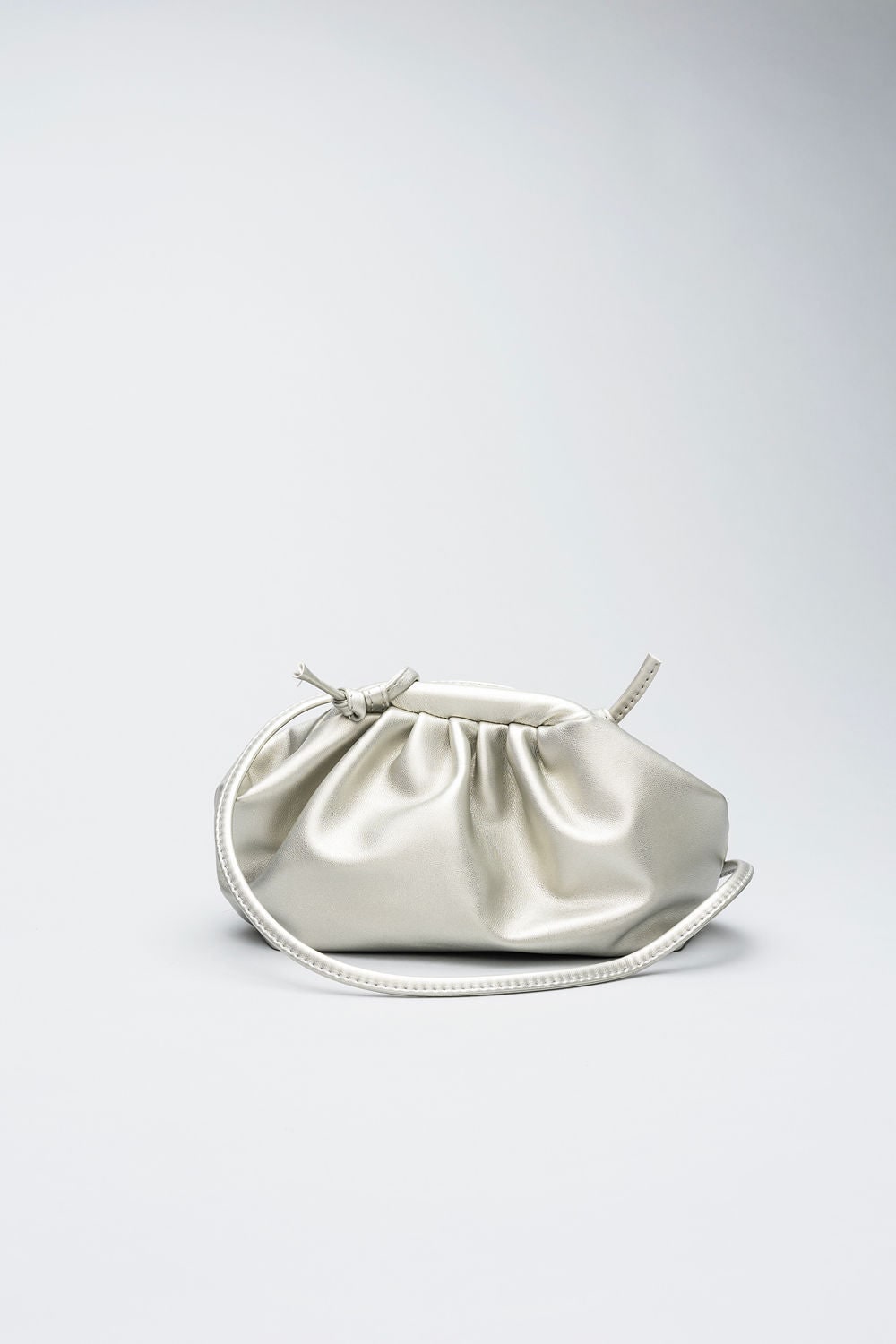 Dumpling Bag