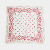 Paisley Silk Mix Scarf