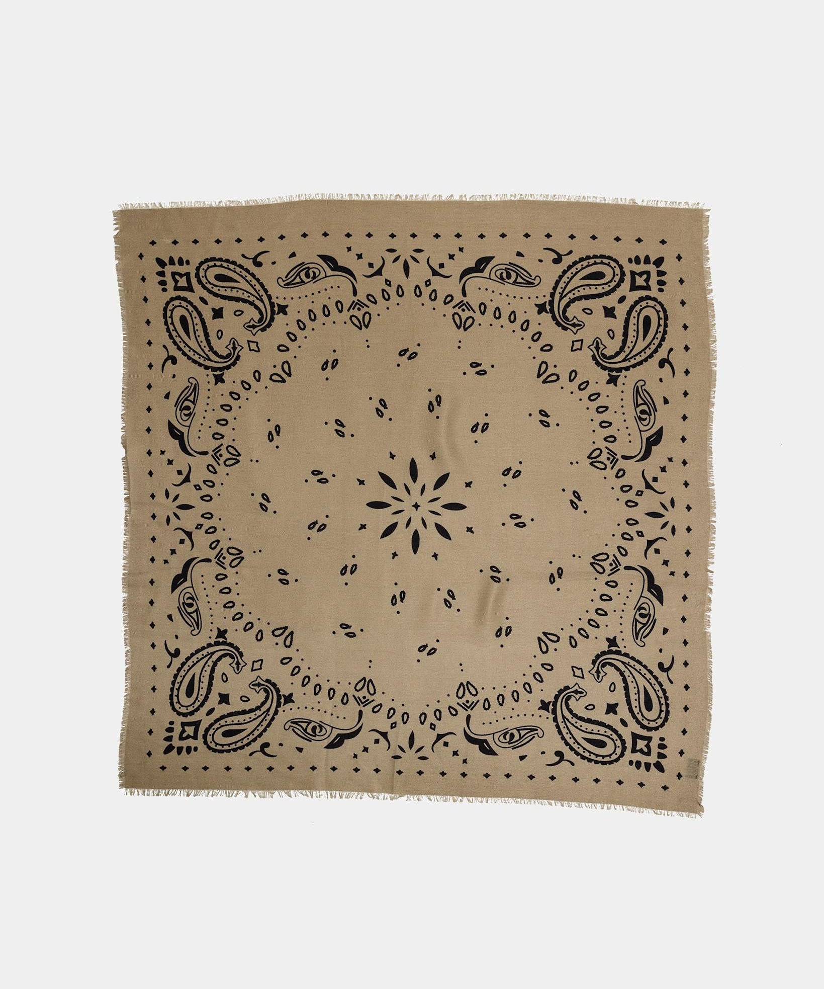 Paisley Big Scarf