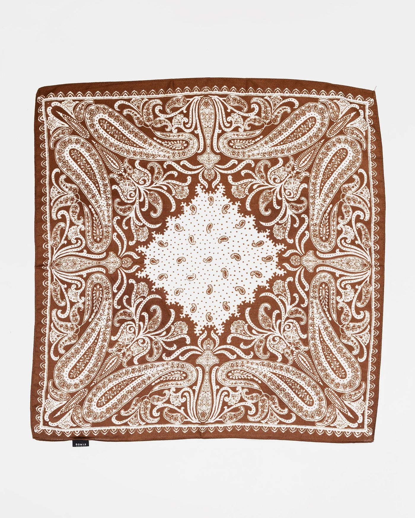 Paisley Scarf