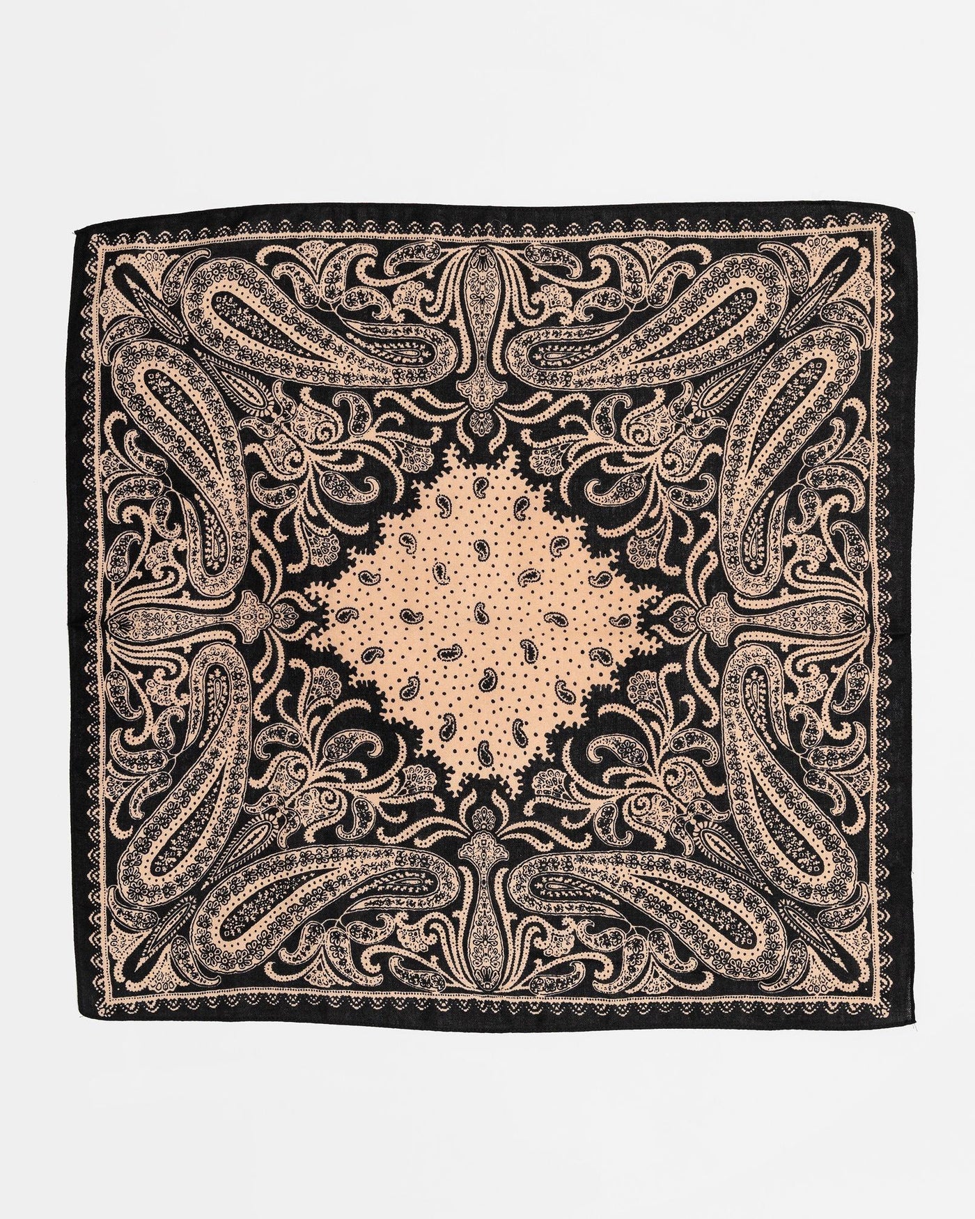 Paisley Scarf