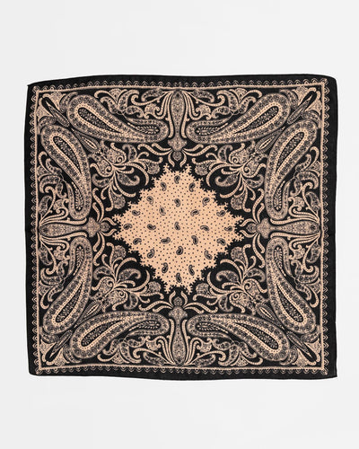 Paisley Scarf