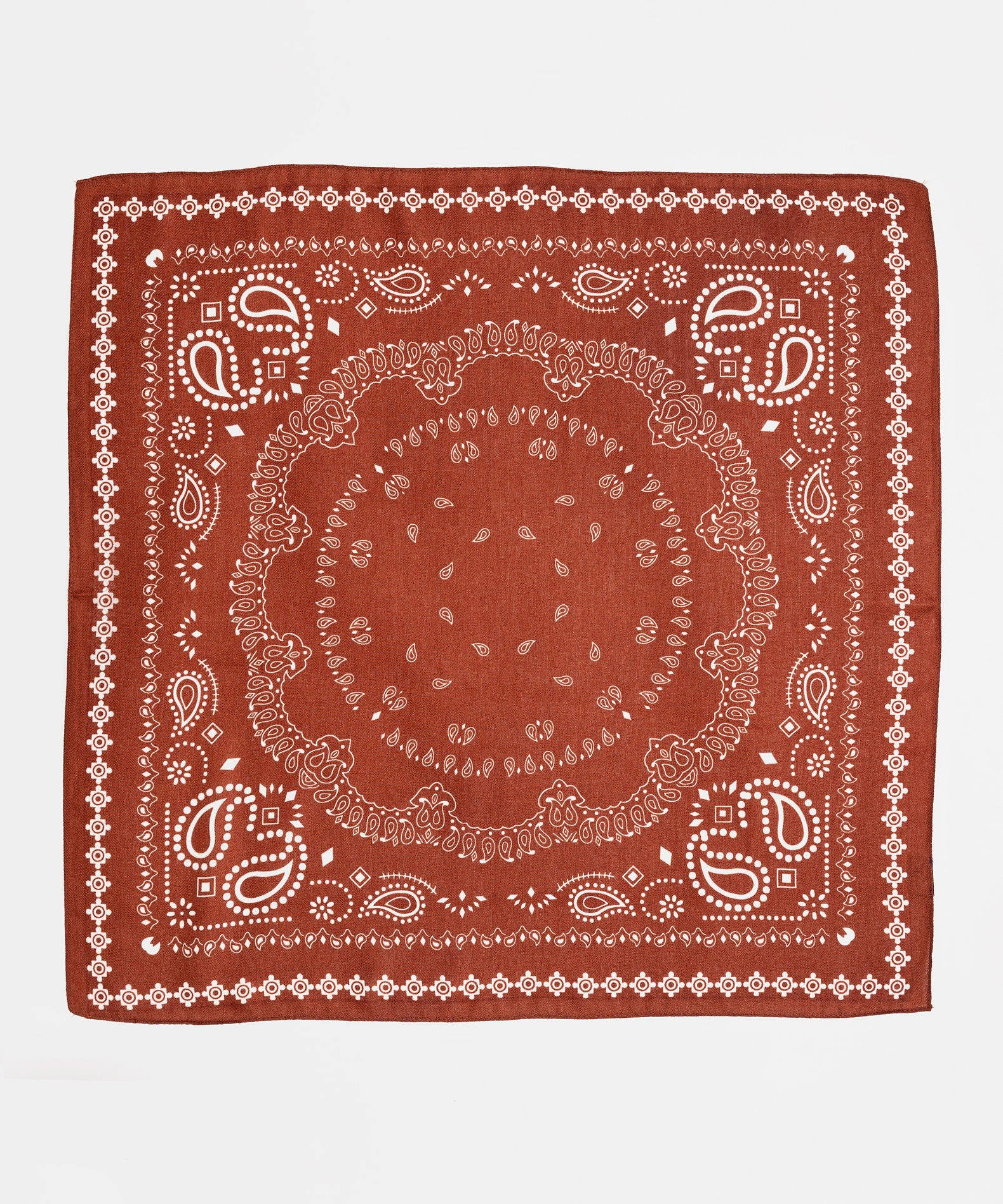Paisley Scarf
