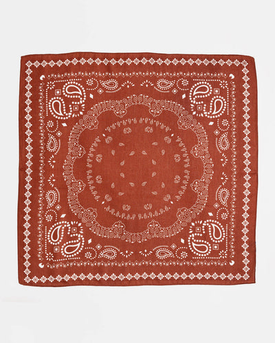 Paisley Scarf