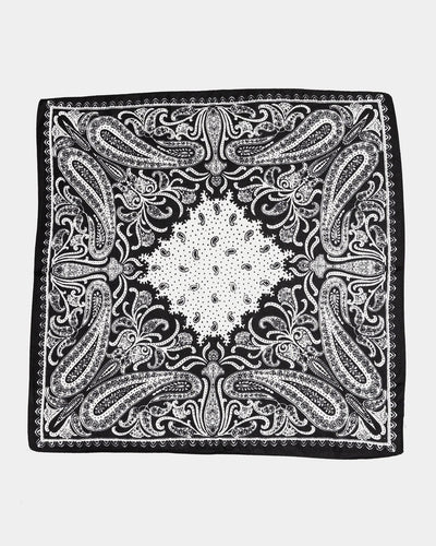 Paisley Scarf