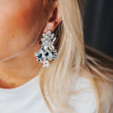 Leaf Big Stone Earrings