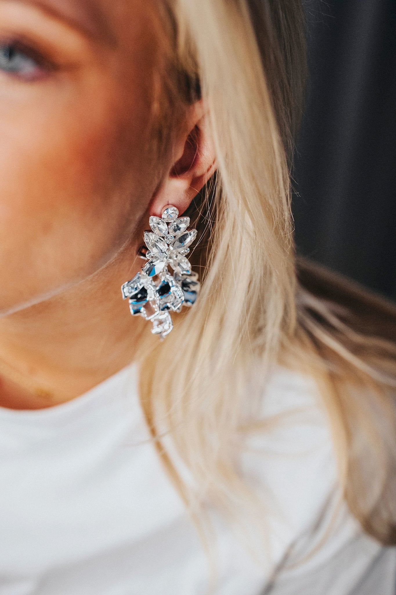 Leaf Big Stone Earrings