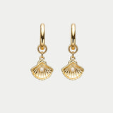 Shell Hoops