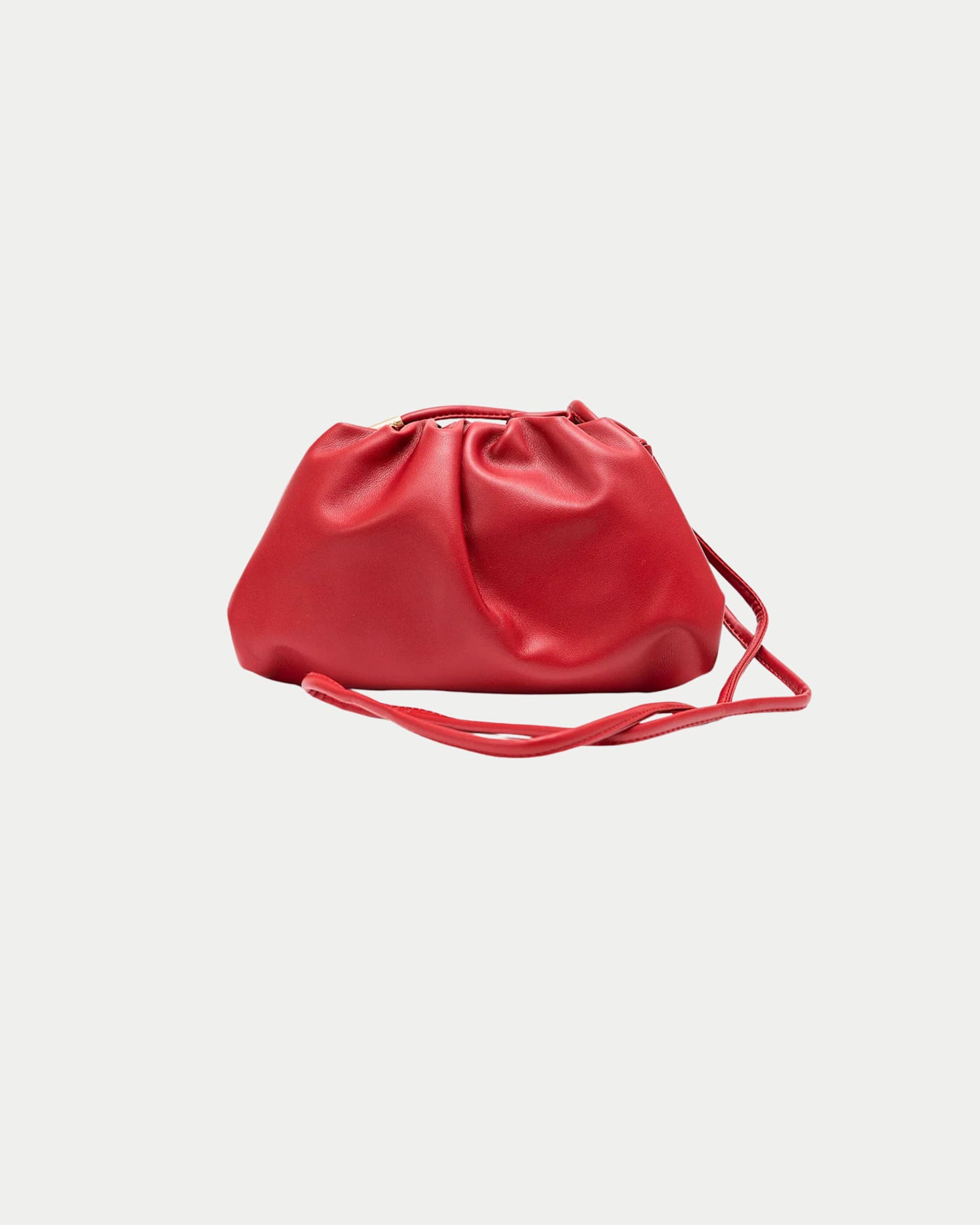 Dumpling Bag