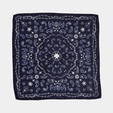 Paisley Scarf
