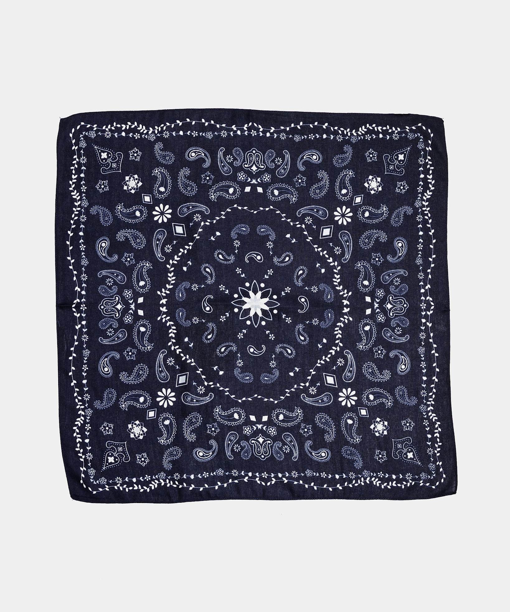 Paisley Scarf