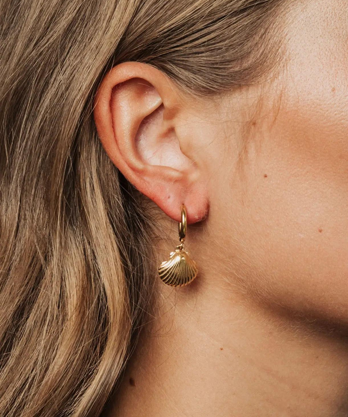 Shell Hoops