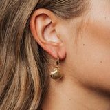 Shell Hoops
