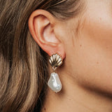 Shell Pearl Earrings Gold