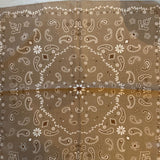 Paisley Scarf