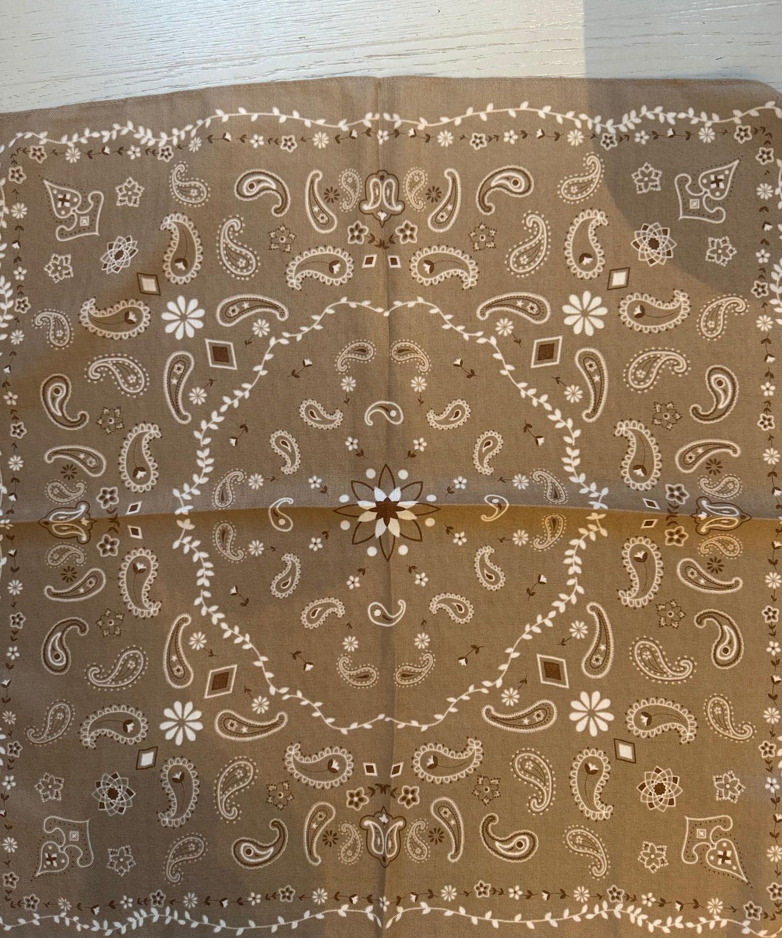 Paisley Scarf