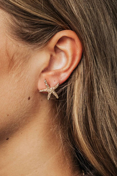 Starfish Studs