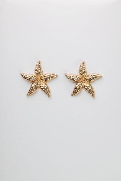 Starfish Earrings